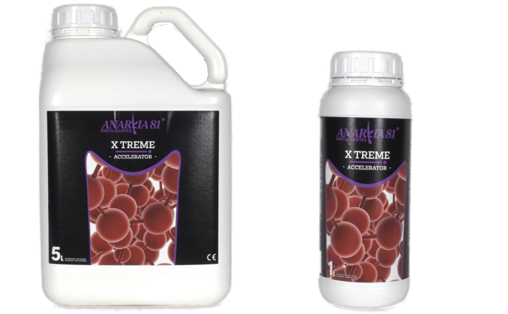X TREME Anarkia81 — 1 L