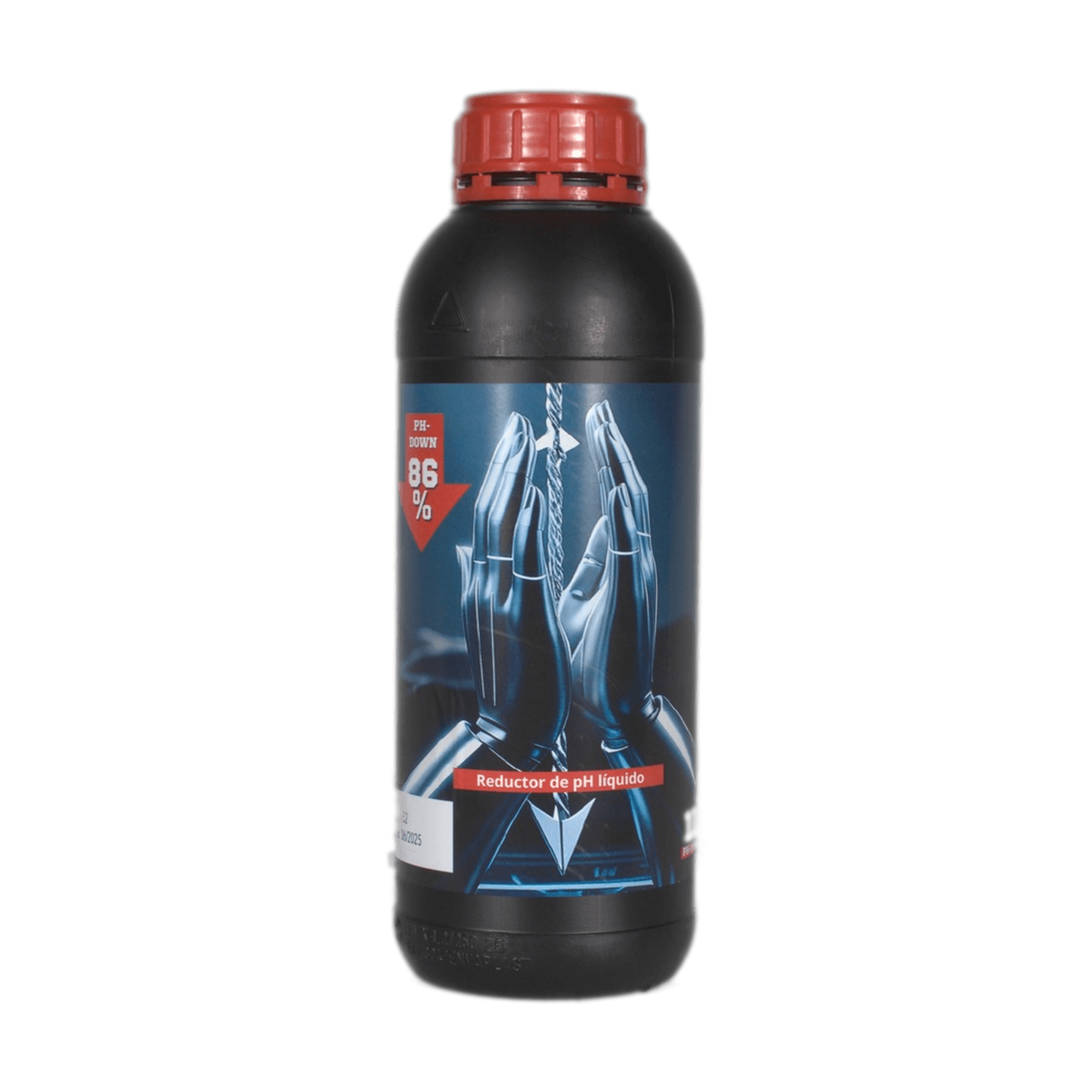 PH - Anarkia81 — 1 L 5