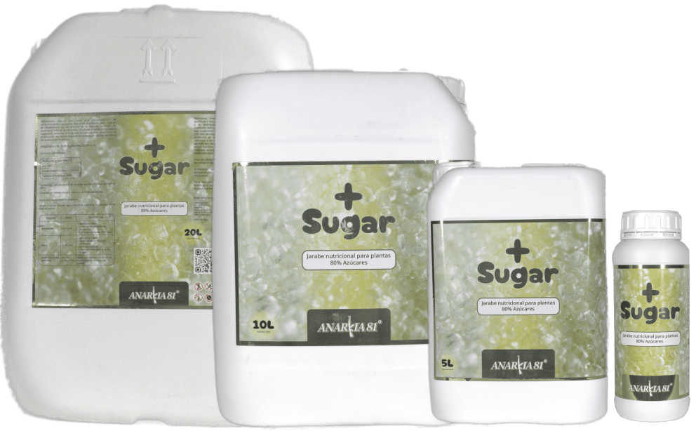 + SUGAR Anarkia81 — 1 L