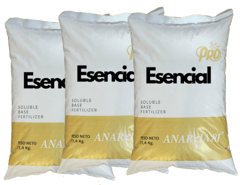 ESENCIAL Anarkia81 — 11,36 kg 2