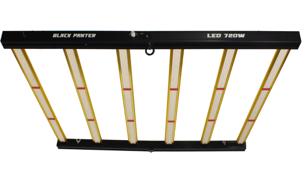 BLACK PANTER 3.3 — 720 W