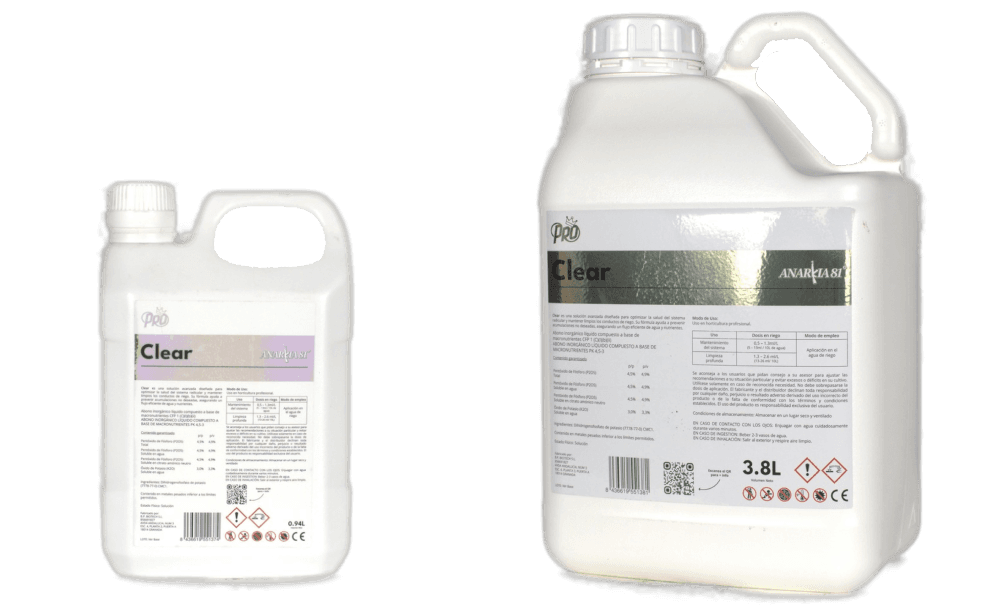 CLEAR Anarkia81 — 3,8 L