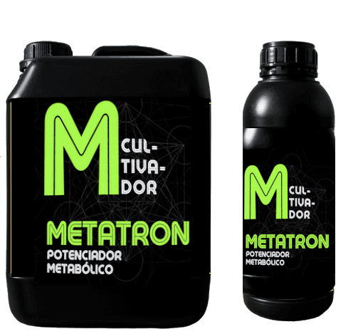 METATRON Anarkia81 — 5 L